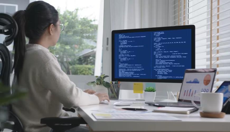 软件开发公司